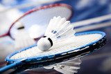 Badminton game - Photo wallpaper