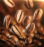 Fresh-roasted coffee Arabica