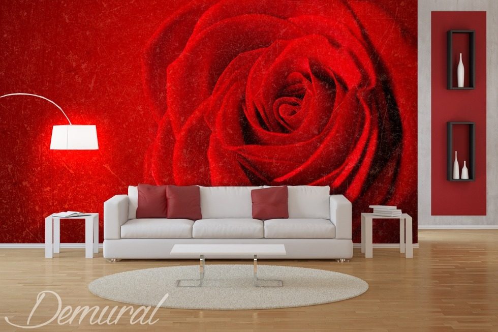 The rose is always red Living room wallpaper mural Photo wallpapers Demural