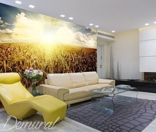 designer crops sunsets wallpaper mural photo wallpapers demural