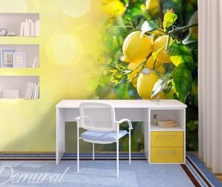 sicilian lemon teenagers room wallpaper mural photo wallpapers demural