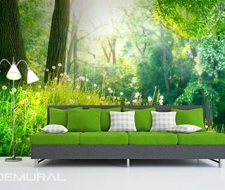 in green woods forest wallpaper mural photo wallpapers demural