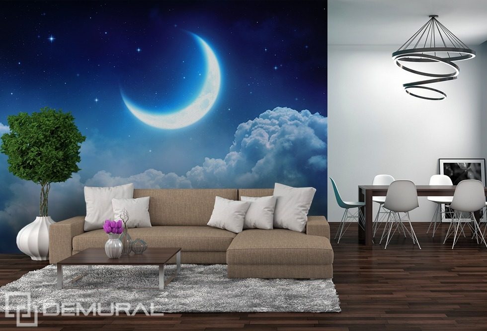 Dreaming moon Cosmos wallpaper mural Photo wallpapers Demural