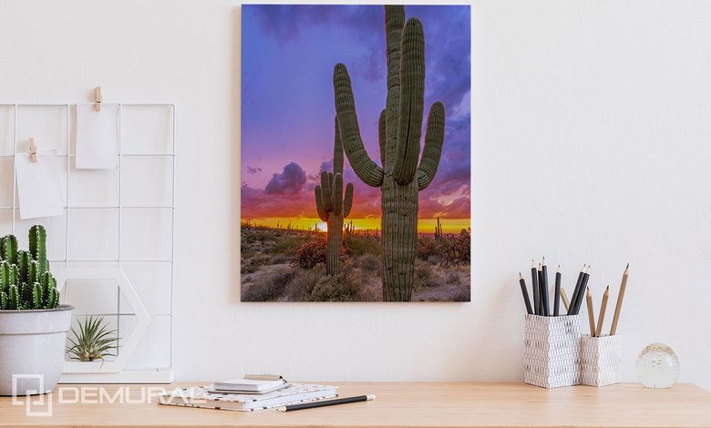 sunset over the cactus valley canvas prints in office canvas prints demural