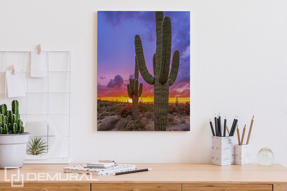 Sunset over the cactus valley Canvas prints in office Canvas prints Demural