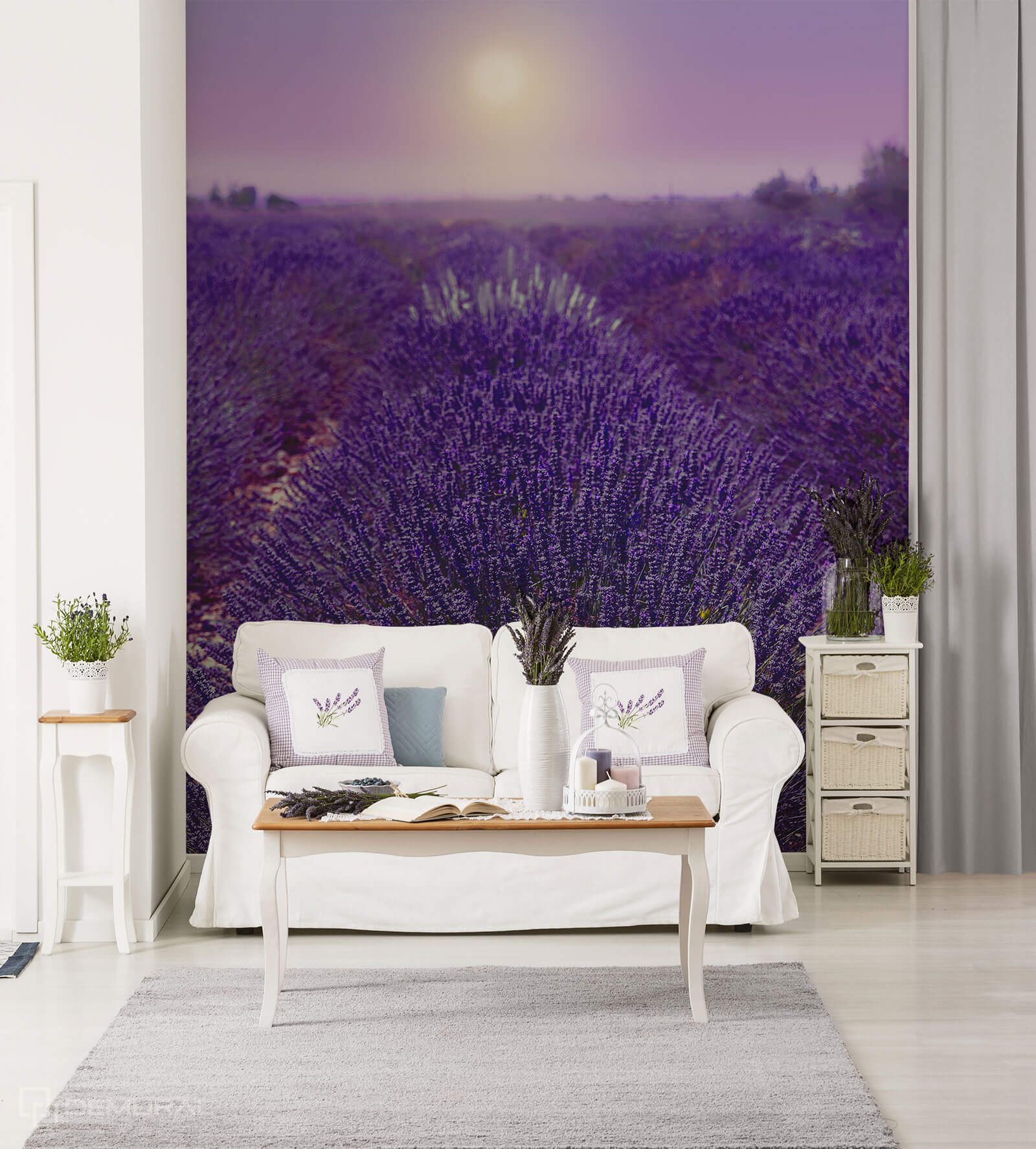 Photo wallpaper Provence fields - Ultraviolet wallpaper - Demural