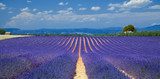 Perfect Provence silence