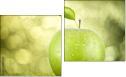Diptych
