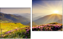 Diptych