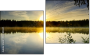 Diptych