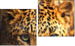 Diptych