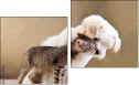 Diptych