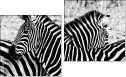 Diptych