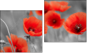 Diptych