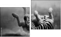 Diptych