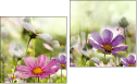 Diptych
