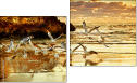 Diptych