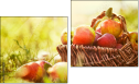 Diptych