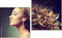 Diptych