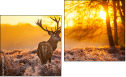 Diptych