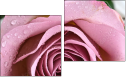 Diptych