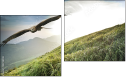 Diptych
