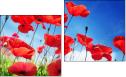 Diptych