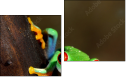 Diptych