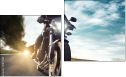 Diptych