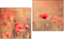 Diptych