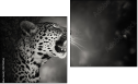 Diptych
