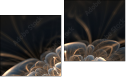 Diptych