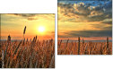 Diptych