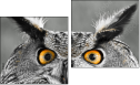 Diptych