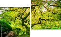 Diptych