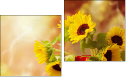Diptych