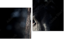 Diptych