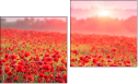 Diptych