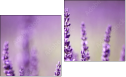 Diptych