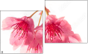 Diptych