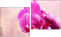 Diptych