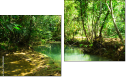 Diptych