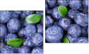 Diptych