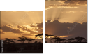 Diptych