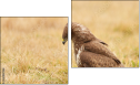 Diptych