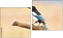 Diptych