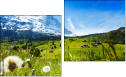 Diptych