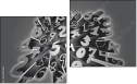 Diptych