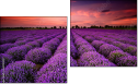 Diptych