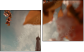 Diptych
